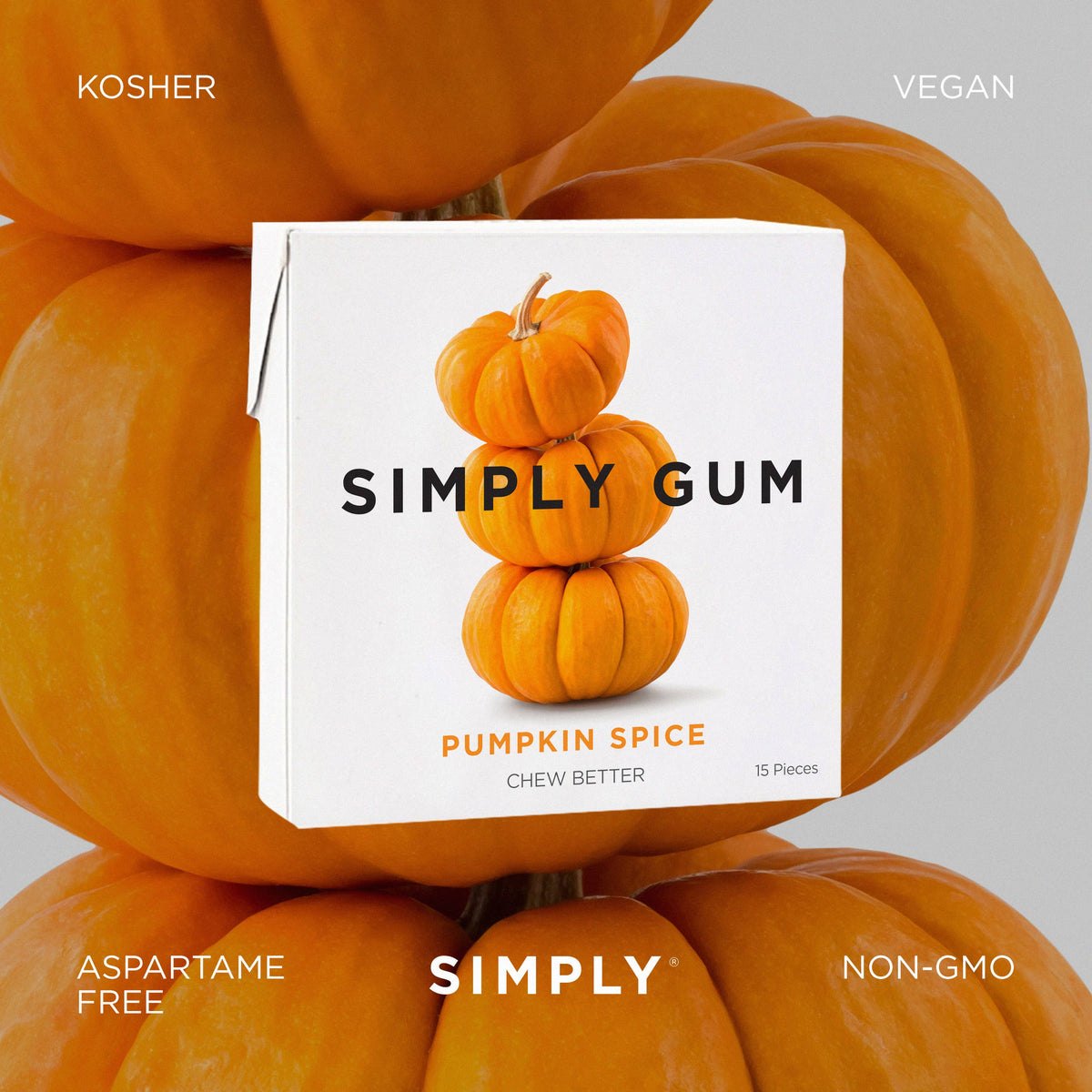 Pumpkin Spice Chewing Gum - Natural + Plastic-Free | 6 Pack